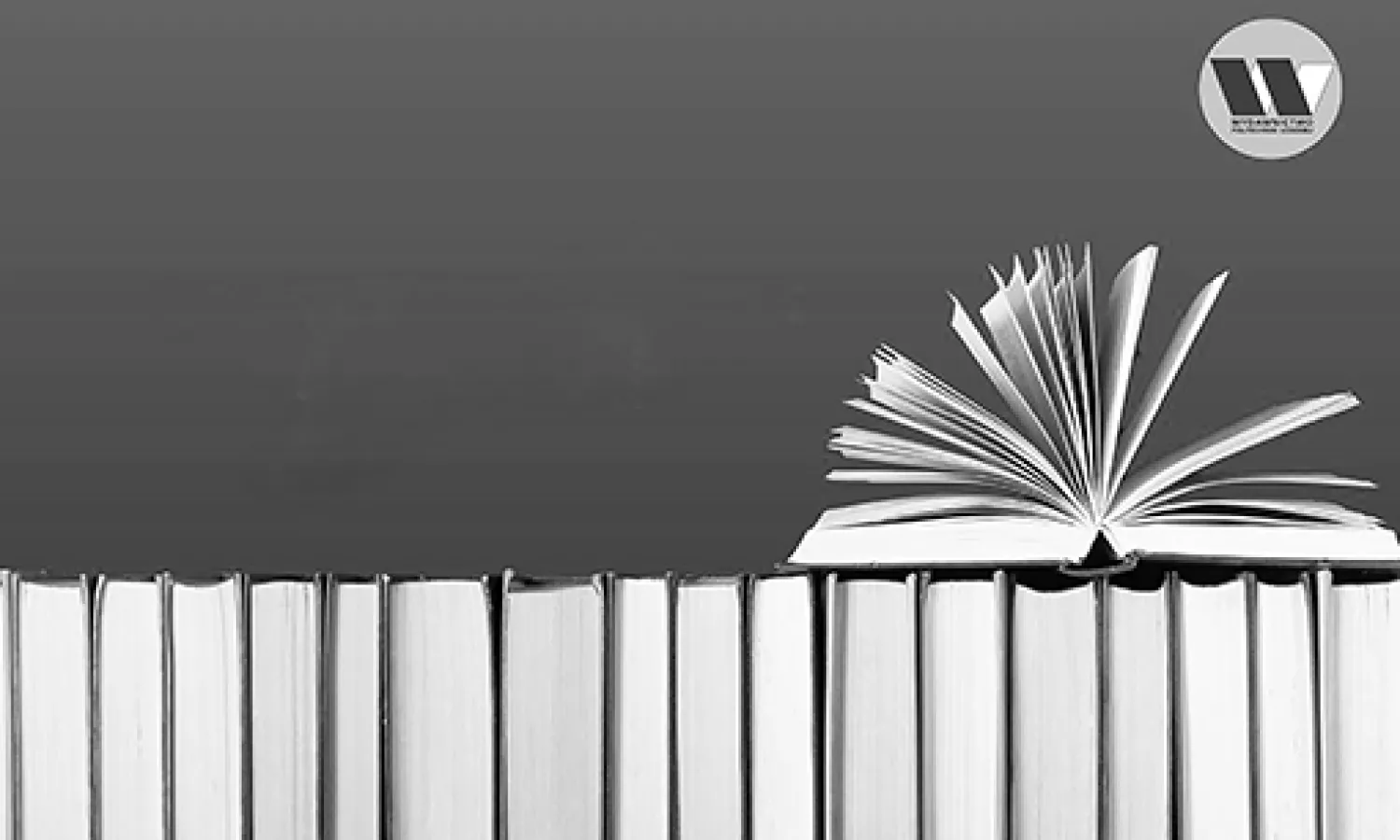 Książki 510x330 szarość